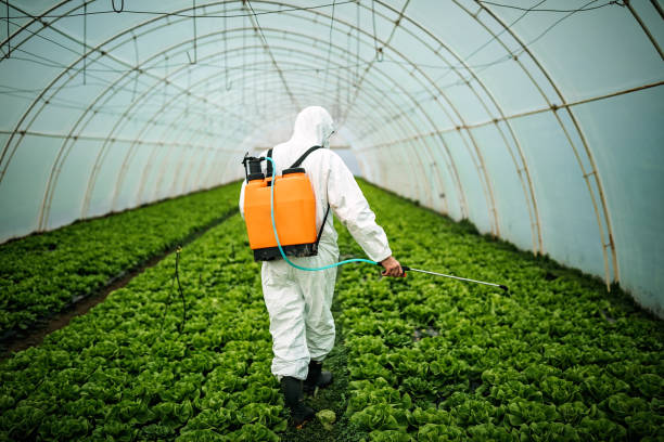 Best Affordable Pest Control Services  in Myrtle Grove, FL