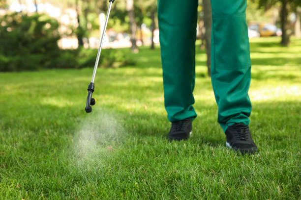 Best Bed Bug Extermination  in Myrtle Grove, FL