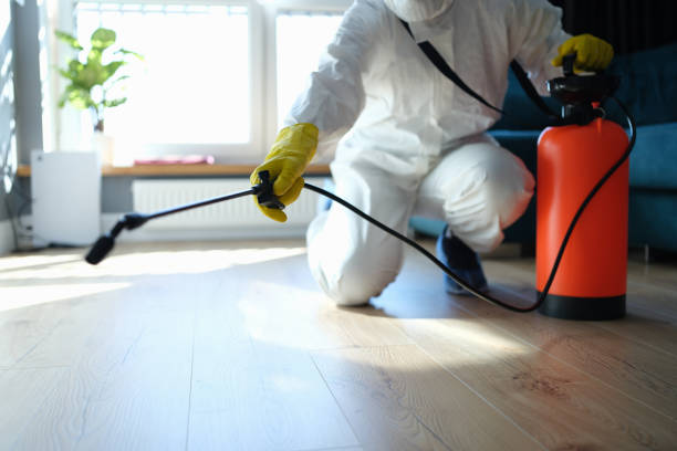 Best Pest Control Near Me  in Myrtle Grove, FL