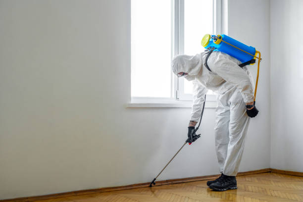 Best Pest Inspection Near Me  in Myrtle Grove, FL