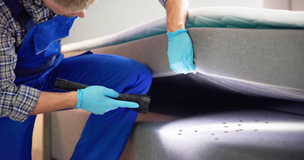 Best Pest Removal Services  in Myrtle Grove, FL