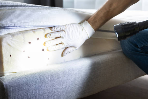 Best Cockroach Control Services  in Myrtle Grove, FL