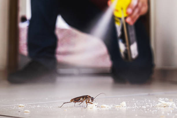 Reliable Myrtle Grove, FL Pest Control Solutions